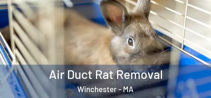  Air Duct Rat Removal Winchester - MA