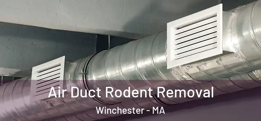 Air Duct Rodent Removal Winchester - MA