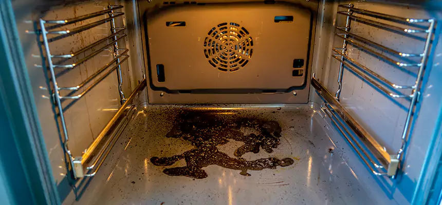 Our Dryer Vent Mold Cleaning Services in Winchester, MA