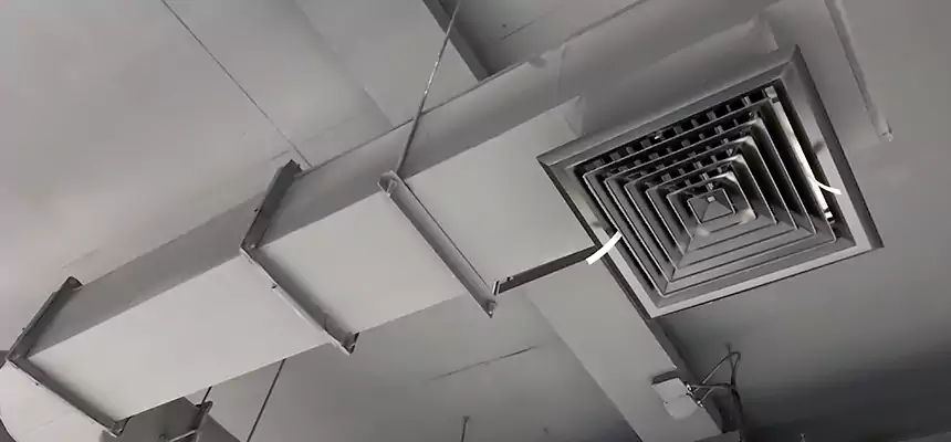 Our Pest Removal From Ducts Services in Winchester, MA