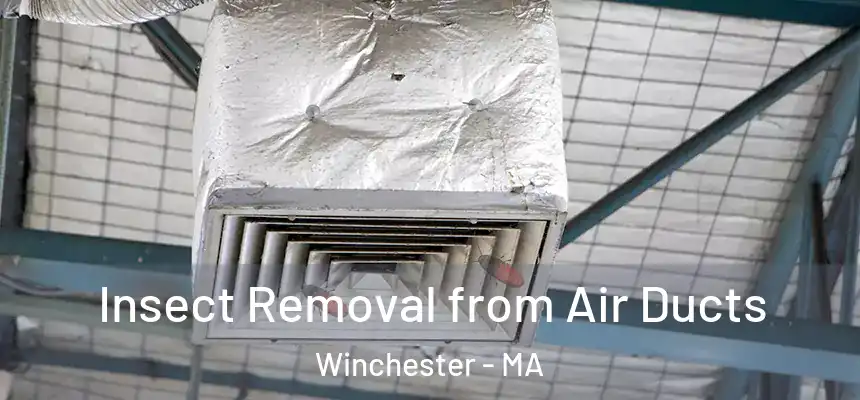  Insect Removal from Air Ducts Winchester - MA