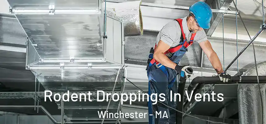 Rodent Droppings In Vents Winchester - MA
