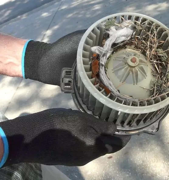 About Air Duct Mice Removal in Winchester, MA