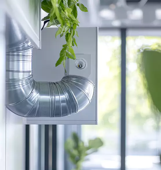 Professional Eco-Safe Dryer Vent Cleaning in Winchester, MA