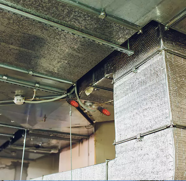 Why Homeowners & Businesses Trust Us in Winchester, MA?