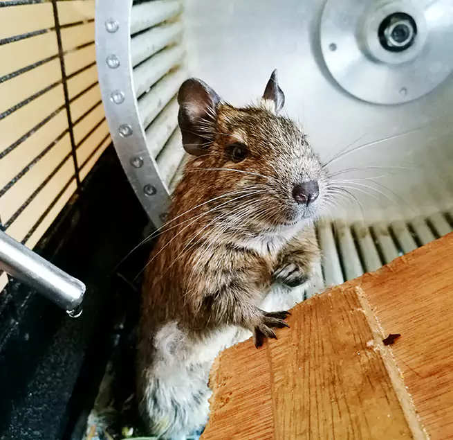 Why Homeowners & Businesses Trust Us Winchester, MA?