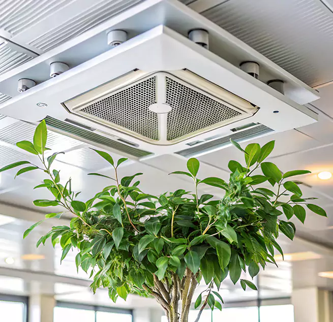 Why Homeowners & Businesses Trust Us in Winchester, MA?