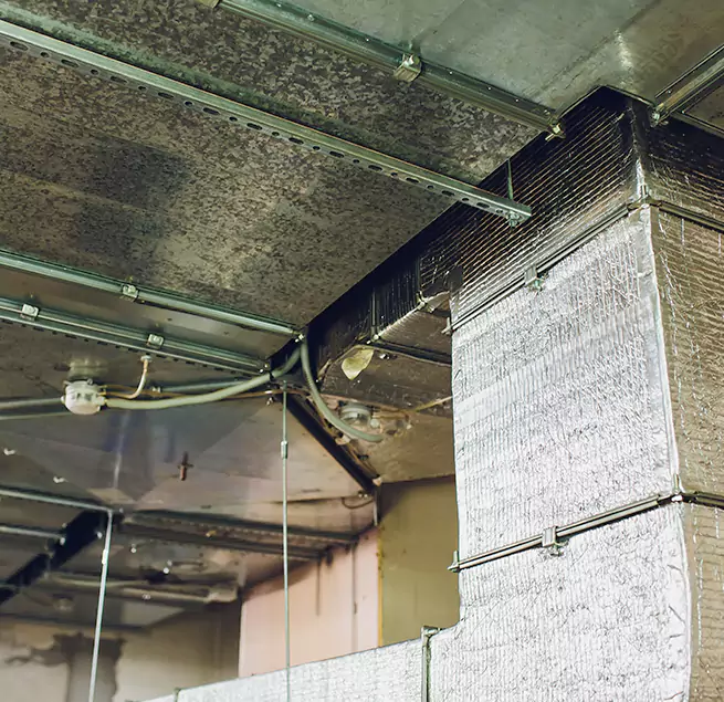 Why Homeowners & Businesses Trust Us in Winchester, MA?